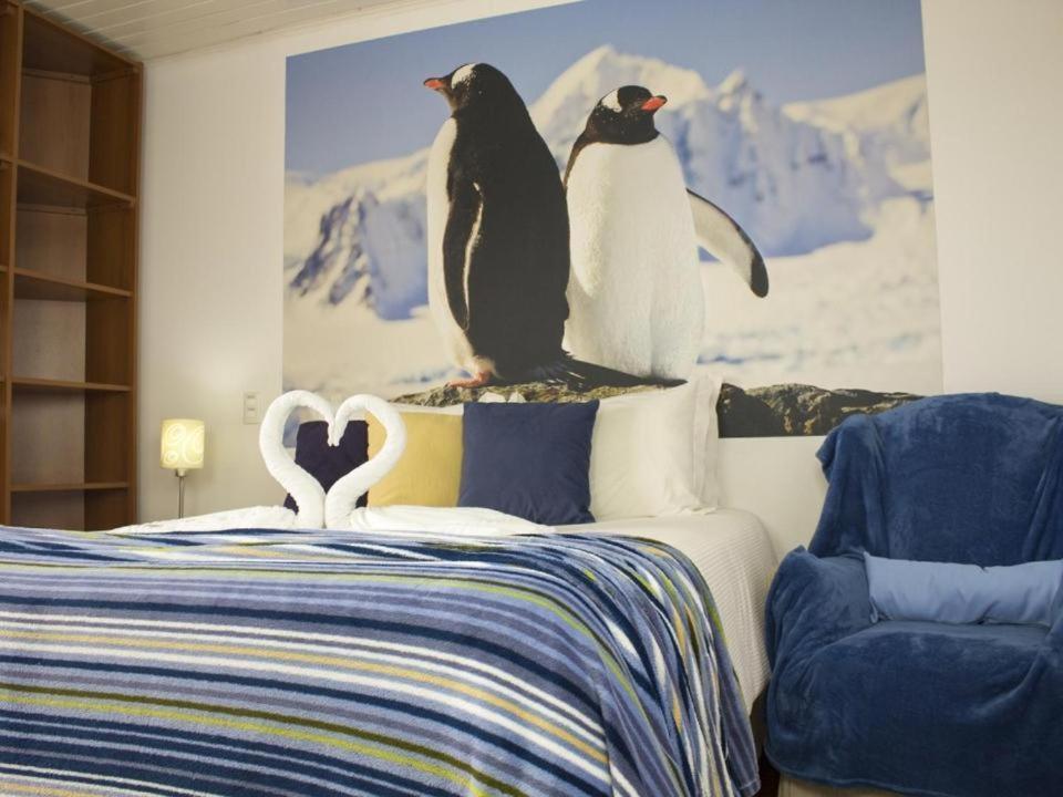 Dos Pinguins Casa de hóspedes